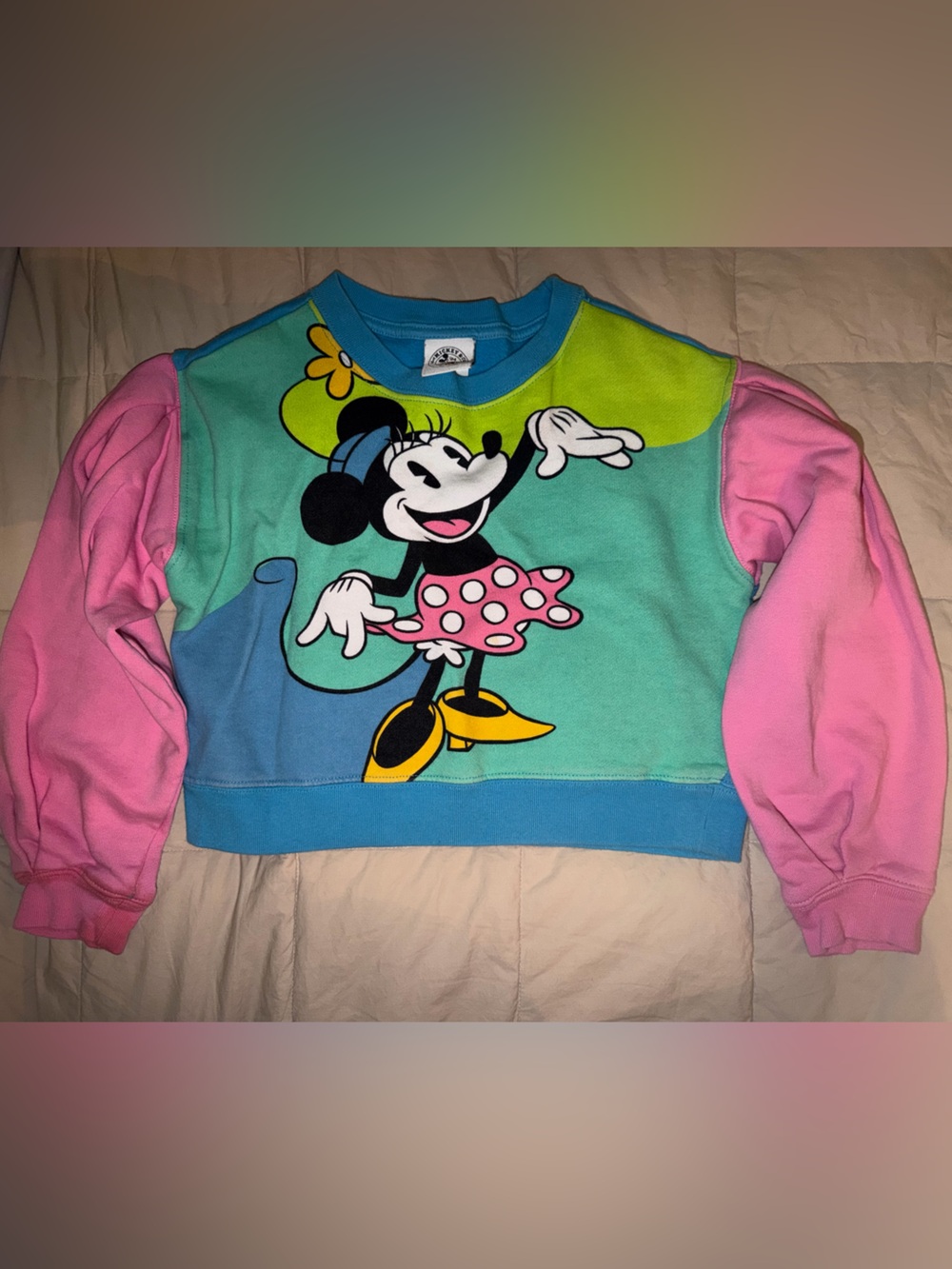 Disney Minnie Mouse Colorblock Sweatshirt - Pink, Blue, Green